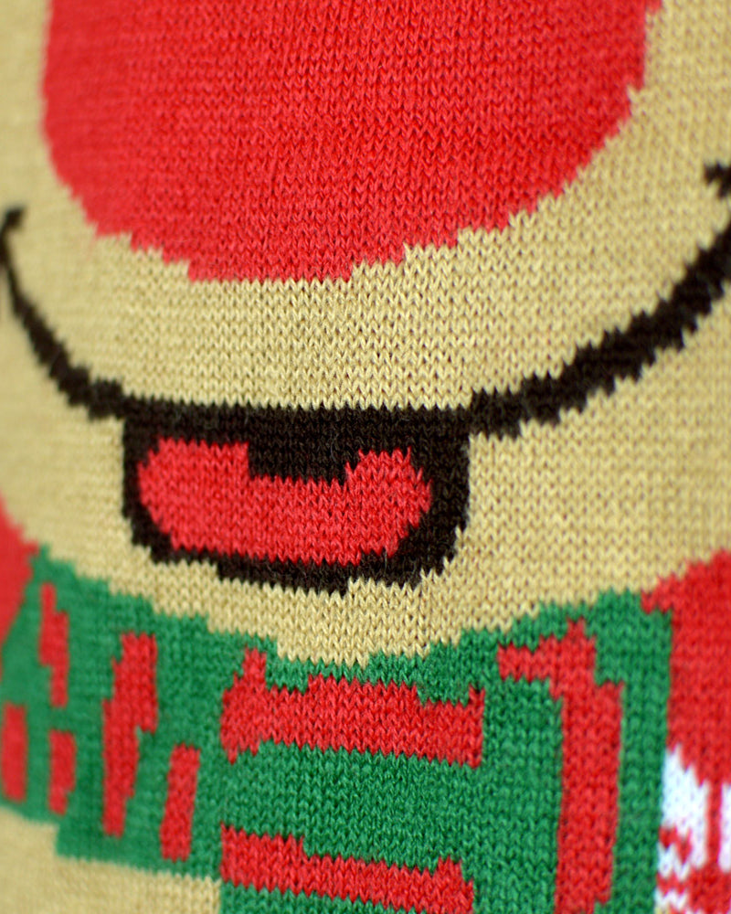 Detail Boys and Girls Christmas Jumper with Reindeer with Scarf