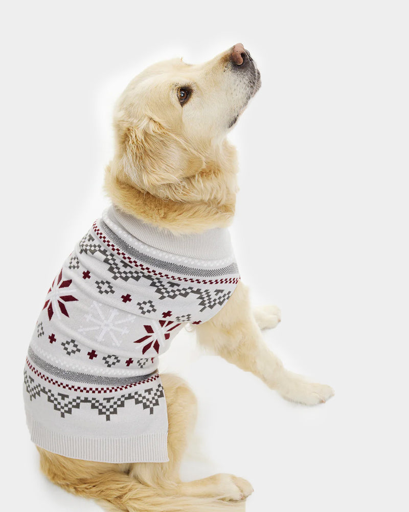 Grey Dog Christmas Jumper with Polar Stars