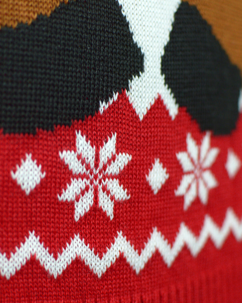 Red Christmas Jumper with Rudolph the Happy Reindeer detail
