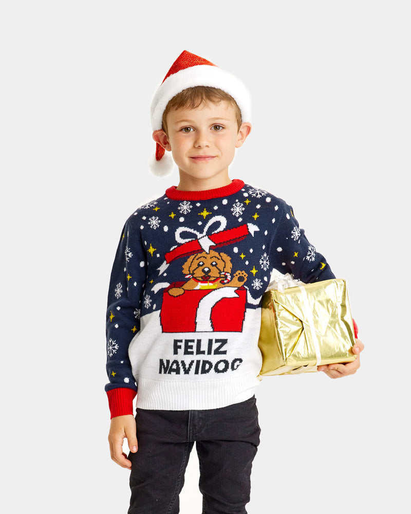 Boys Christmas Jumper Feliz Navidog