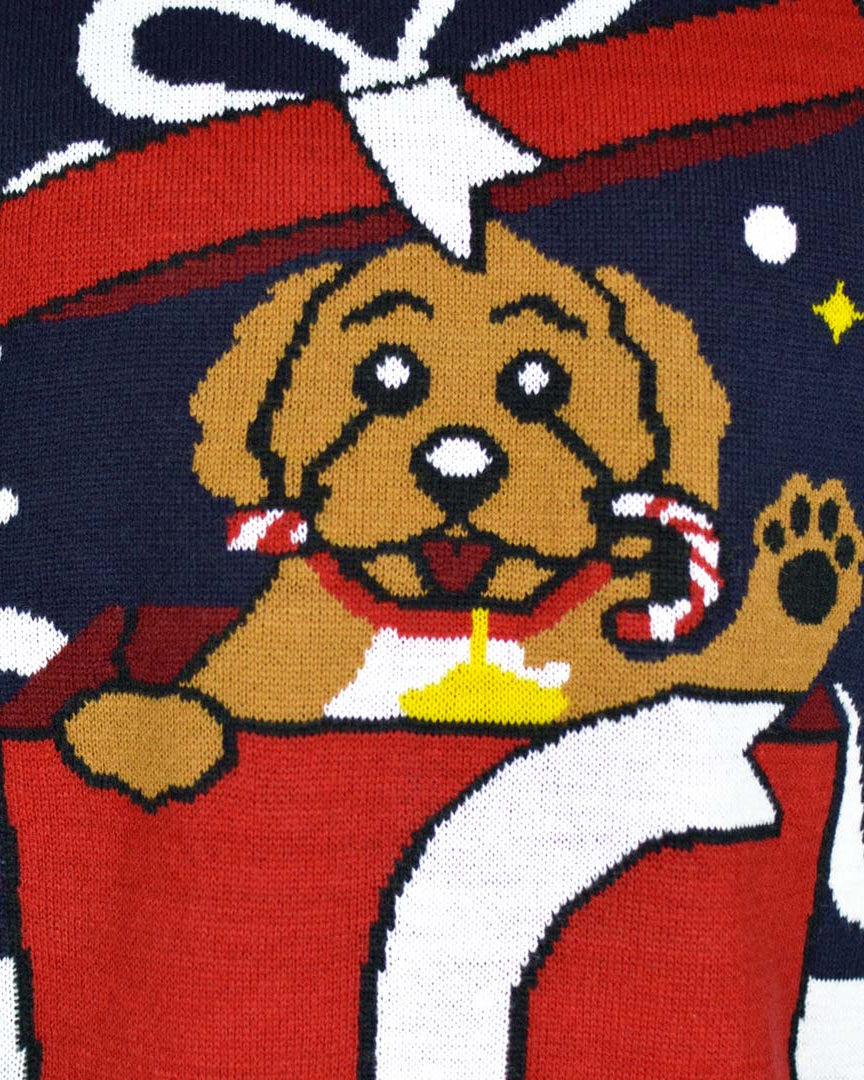 Family Christmas Jumper Feliz Navidog Detail