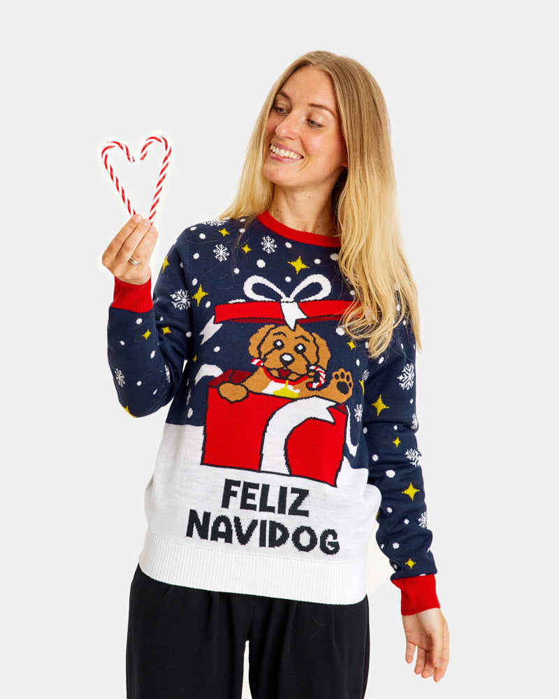 Family Christmas Jumper Feliz Navidog Womens