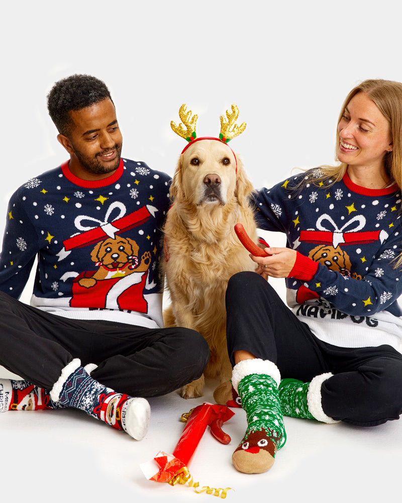 Family Christmas Jumper Feliz Navidog