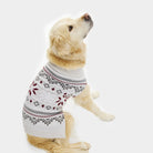 Grey Dog Christmas Jumper with Polar Stars
