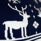Blue Boys and Girls Christmas Jumper with Reindeers and Nordic Stars Detail