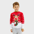 Organic Cotton Boys and Girls Christmas Jumper Reindeer with Scarf Kids